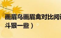 画眉鸟画眉禽对比阅读（画眉鸟怎么养它才打斗狠一些）