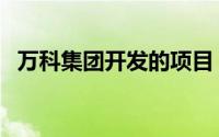 万科集团开发的项目（万科的主要项目是）