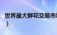世界最大鲜花交易市场（世界第一大鲜花市场）