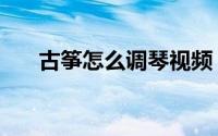 古筝怎么调琴视频（古筝怎么调琴音）