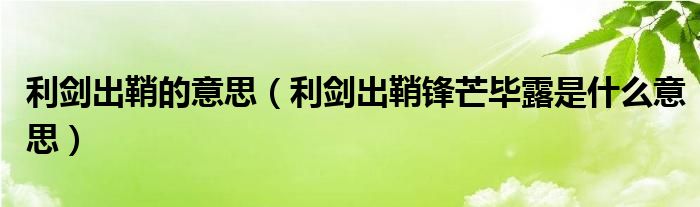 利剑出鞘的意思（利剑出鞘锋芒毕露是什么意思）