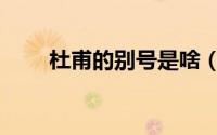 杜甫的别号是啥（杜甫别号是什么）