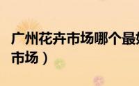 广州花卉市场哪个最好（广州哪里有大的花卉市场）