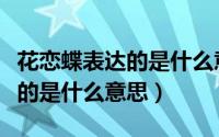 花恋蝶表达的是什么意思和含义（花恋蝶表达的是什么意思）
