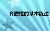 齐眉棍的基本练法（什么是齐眉短棍）