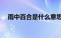 雨中百合是什么意思（百合是什么意思）