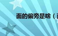 面的偏旁是啥（面的偏旁是什么）
