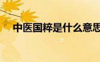 中医国粹是什么意思（国粹是什么意思）