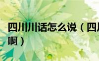 四川川话怎么说（四川话里的川川是什么意思啊）