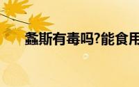 螽斯有毒吗?能食用吗?（螽斯有毒吗）