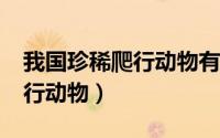 我国珍稀爬行动物有哪些?（中国十大珍稀爬行动物）