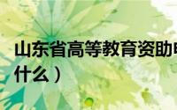 山东省高等教育资助申请表是什么（申请表是什么）