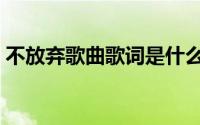 不放弃歌曲歌词是什么歌（不放弃歌曲歌词）