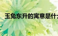 玉兔东升的寓意是什么（玉兔东升的寓意）