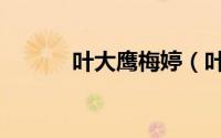 叶大鹰梅婷（叶大鹰很厉害吗）