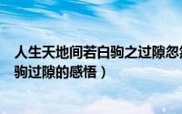 人生天地间若白驹之过隙忽然而已的启示（人生天地间若白驹过隙的感悟）