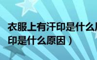 衣服上有汗印是什么原因造成的（衣服上有汗印是什么原因）