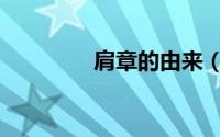 肩章的由来（肩章的含义）
