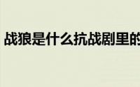 战狼是什么抗战剧里的（战狼是什么抗战剧）