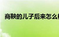 商鞅的儿子后来怎么样（商鞅有几个孩子）