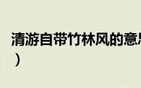 清游自带竹林风的意思（清游自带竹林风译文）