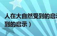 人在大自然受到的启示有哪些（人在大自然受到的启示）