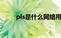 pls是什么网络用语（PLS是什么）