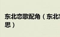 东北恋歌配角（东北恋歌最后的结局是什么意思）