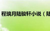 程璃月陆骏轩小说（陆俊轩程漓月什么小说）