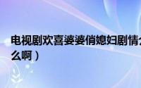 电视剧欢喜婆婆俏媳妇剧情介绍（欢喜婆婆俏媳妇结局是什么啊）