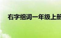 右字组词一年级上册（右字组词一年级）