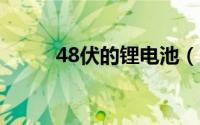48伏的锂电池（48v最好锂电池）