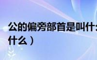 公的偏旁部首是叫什么字（公的偏旁部首是叫什么）