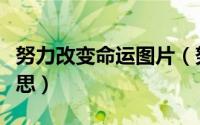 努力改变命运图片（努力奋斗改变命运什么意思）