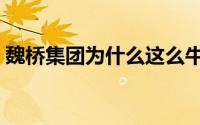 魏桥集团为什么这么牛（为什么叫魏桥集团）
