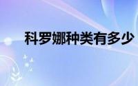 科罗娜种类有多少（科罗娜月季品种）