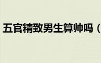 五官精致男生算帅吗（五官精致的标准男生）