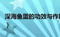 深海鱼蛋的功效与作用（深海鱼蛋的做法大全）
