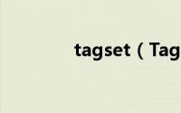 tagset（Tags是什么意思）