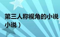 第三人称视角的小说（有什么好看的第三人称小说）