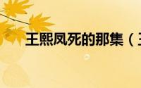王熙凤死的那集（王熙凤哪一集死的）