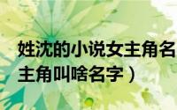 姓沈的小说女主角名字（变形金刚2里面的女主角叫啥名字）