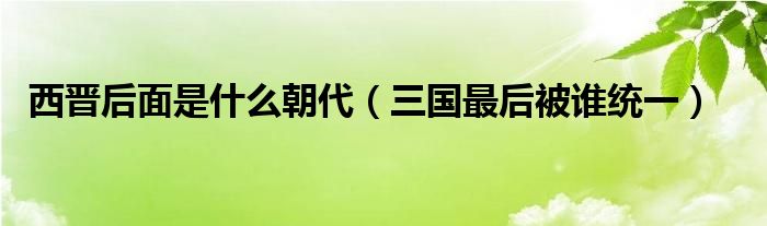 西晋后面是什么朝代（三国最后被谁统一）