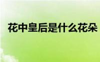 花中皇后是什么花朵（花中皇后是什么花）
