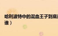 哈利波特中的混血王子到底是谁（哈利波特混血王子指的是谁）