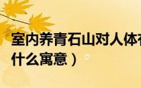 室内养青石山对人体有害吗（养青石山盆栽有什么寓意）