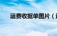 运费收据单图片（运费收到条怎么写）