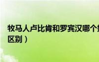 牧马人卢比肯和罗宾汉哪个好（牧马人罗宾汉和卢比肯什么区别）