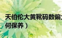 天伯伦大黄靴码数偏大吗（天伯伦黄靴日常如何保养）