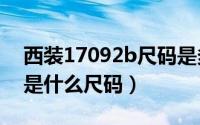 西装17092b尺码是多少（女人西装17092a是什么尺码）